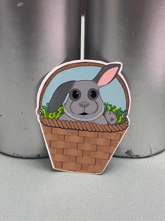 Basket Rabbit