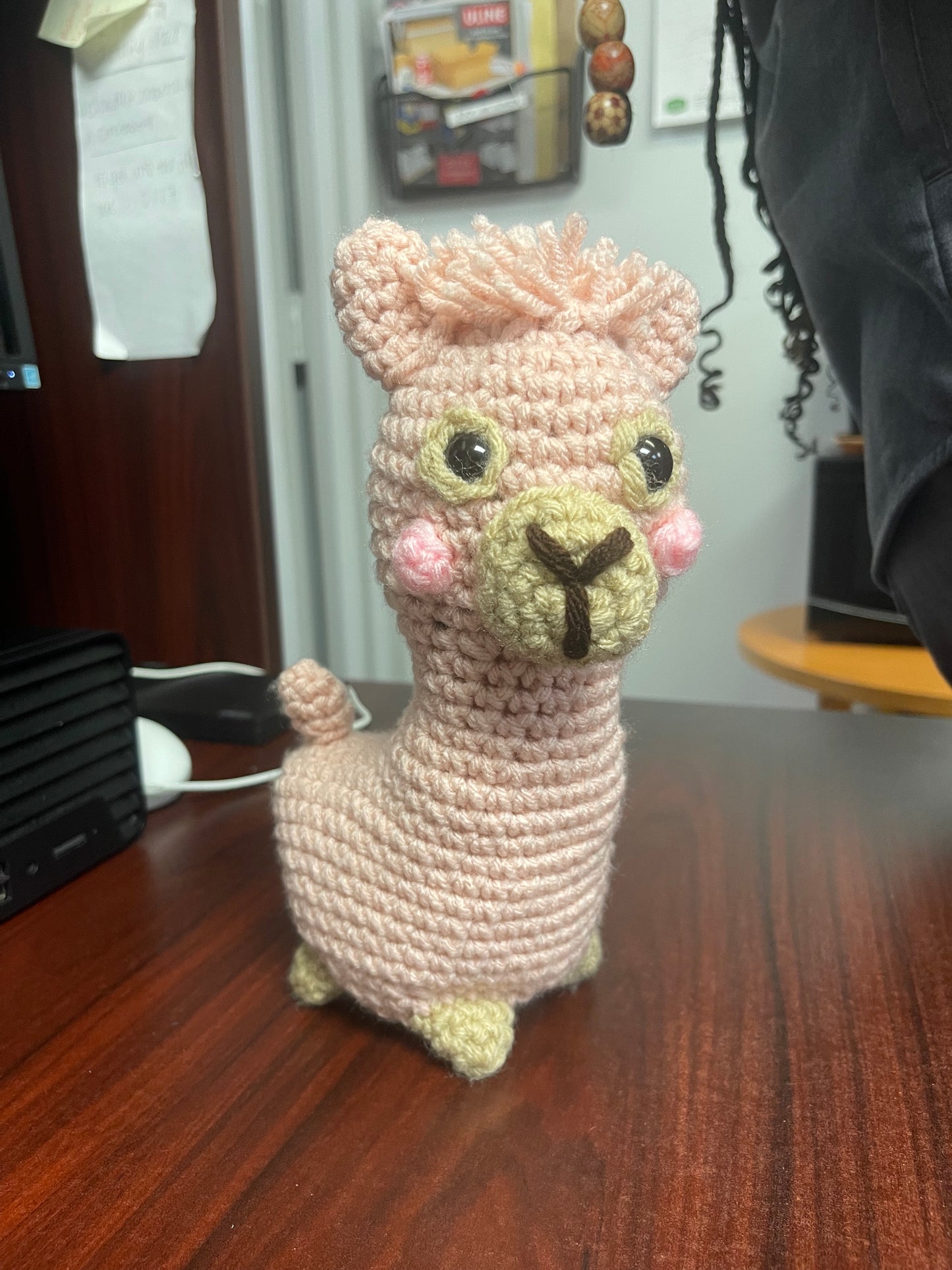 Alpaca