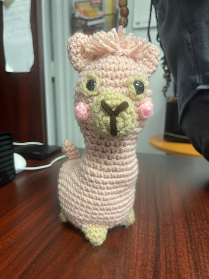 Alpaca