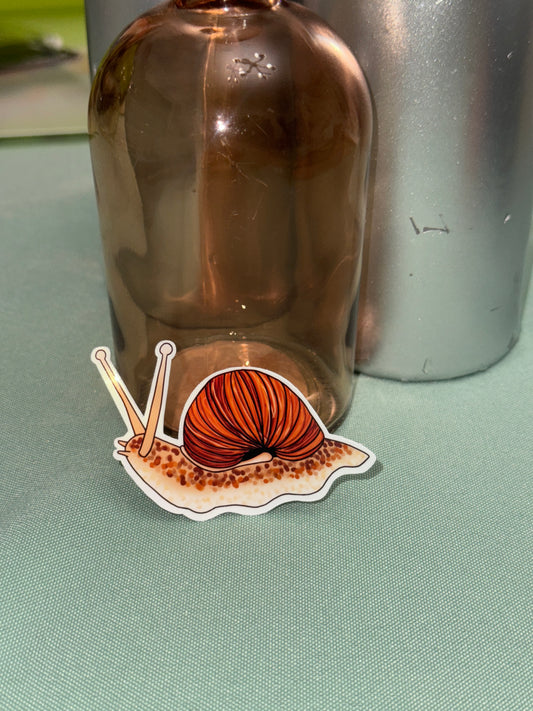 Snail Sticker